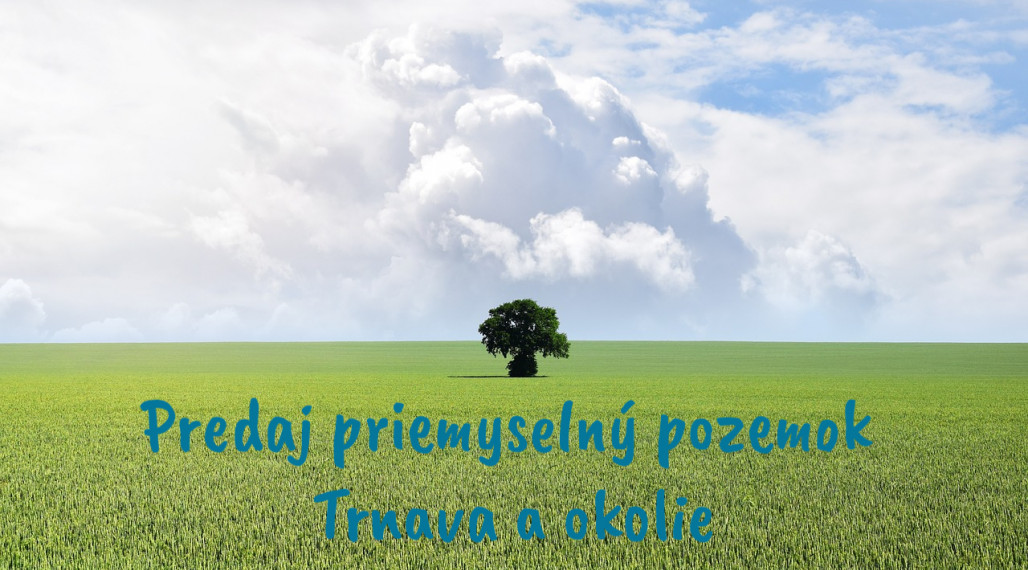 TT Reality - priemyselný pozemok na výstavbu haly v blízkosti Trnavy