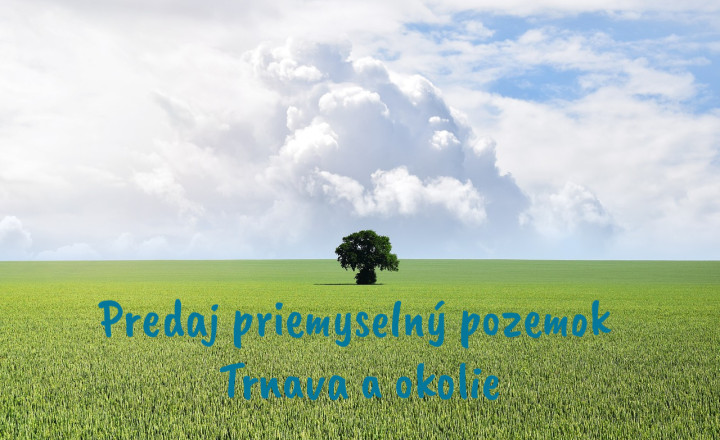 TT Reality - priemyselný pozemok na výstavbu haly v blízkosti Trnavy